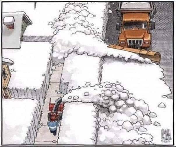 Plow cartoon.jpg
