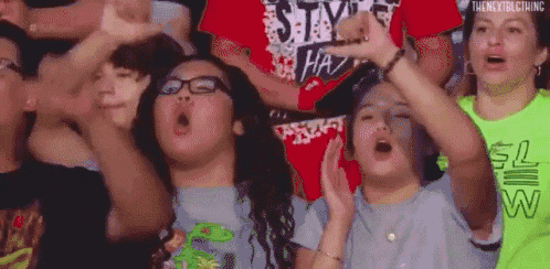 wwe-fan.gif