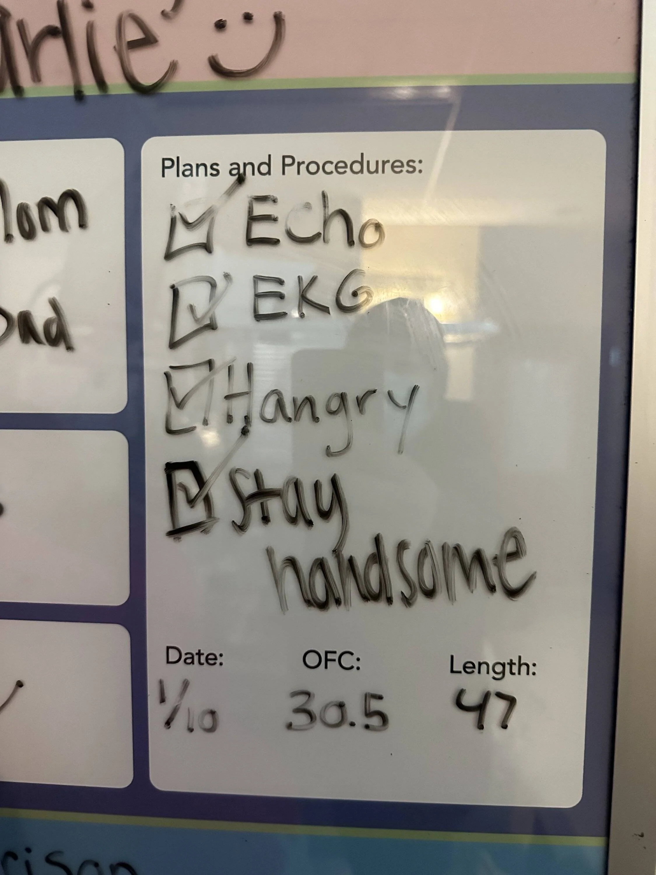 IMG_1105.jpeg