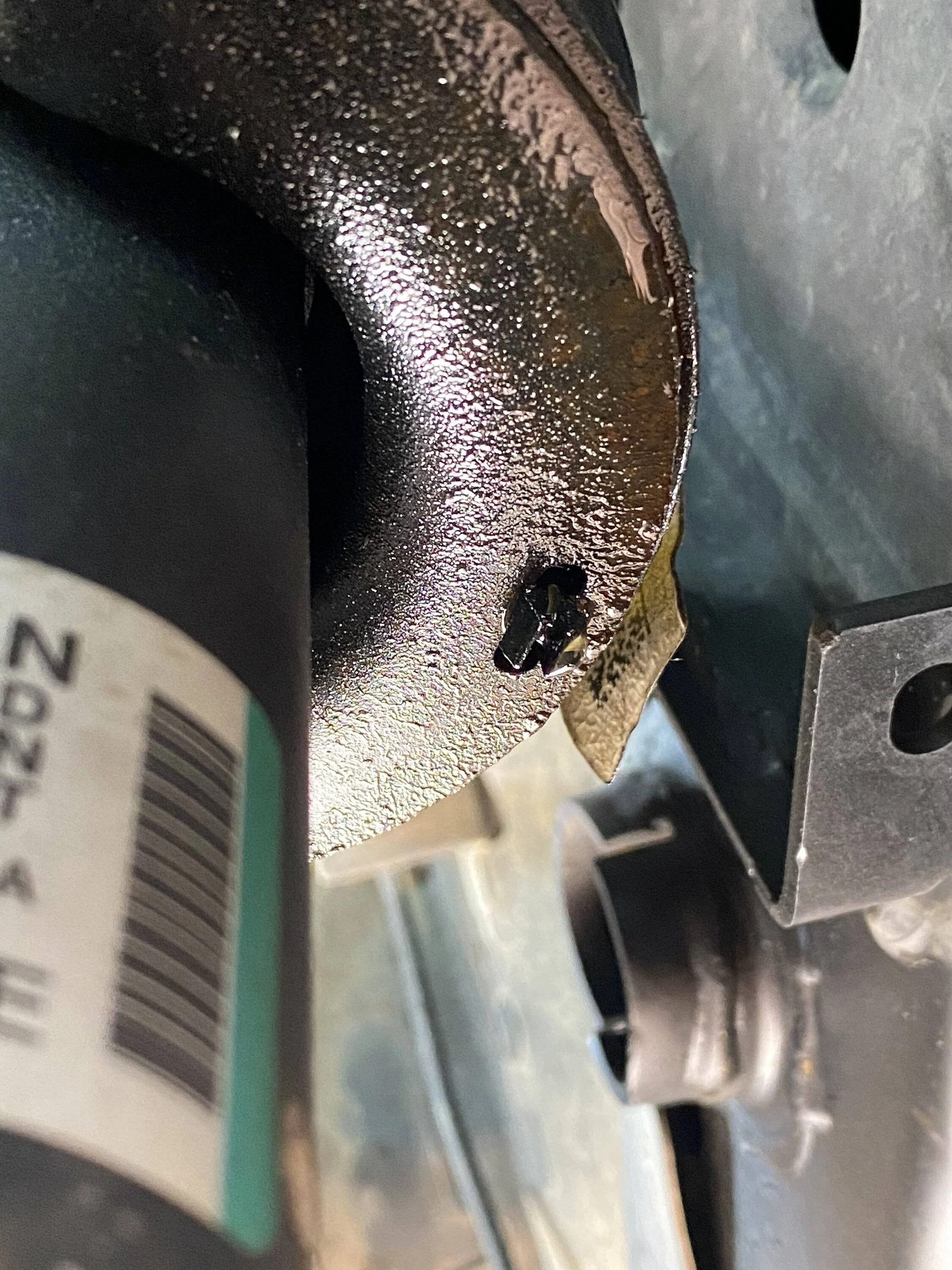 IMG_6581.webp