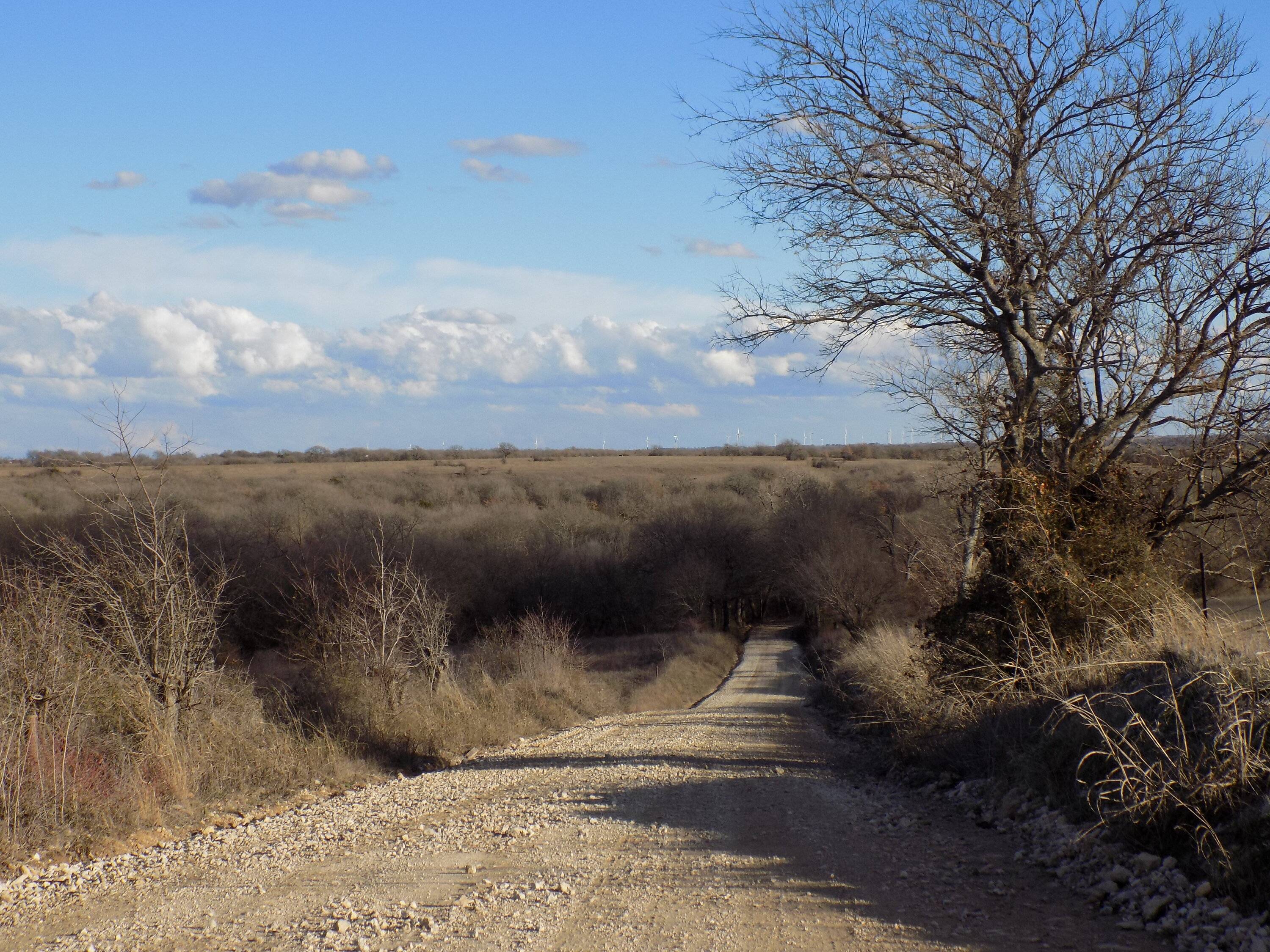 1707024957519.jpeg