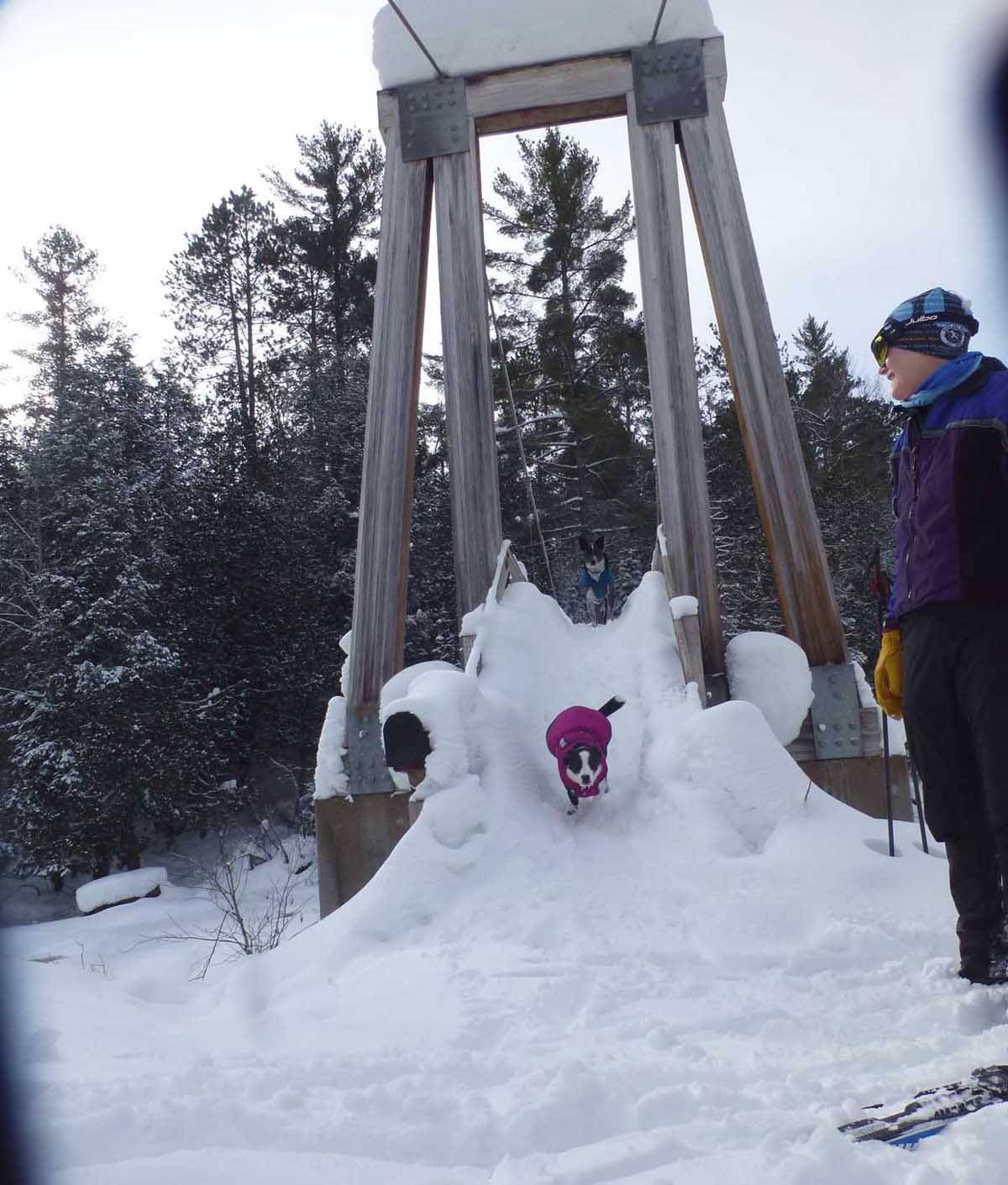 snowbridge809.jpg