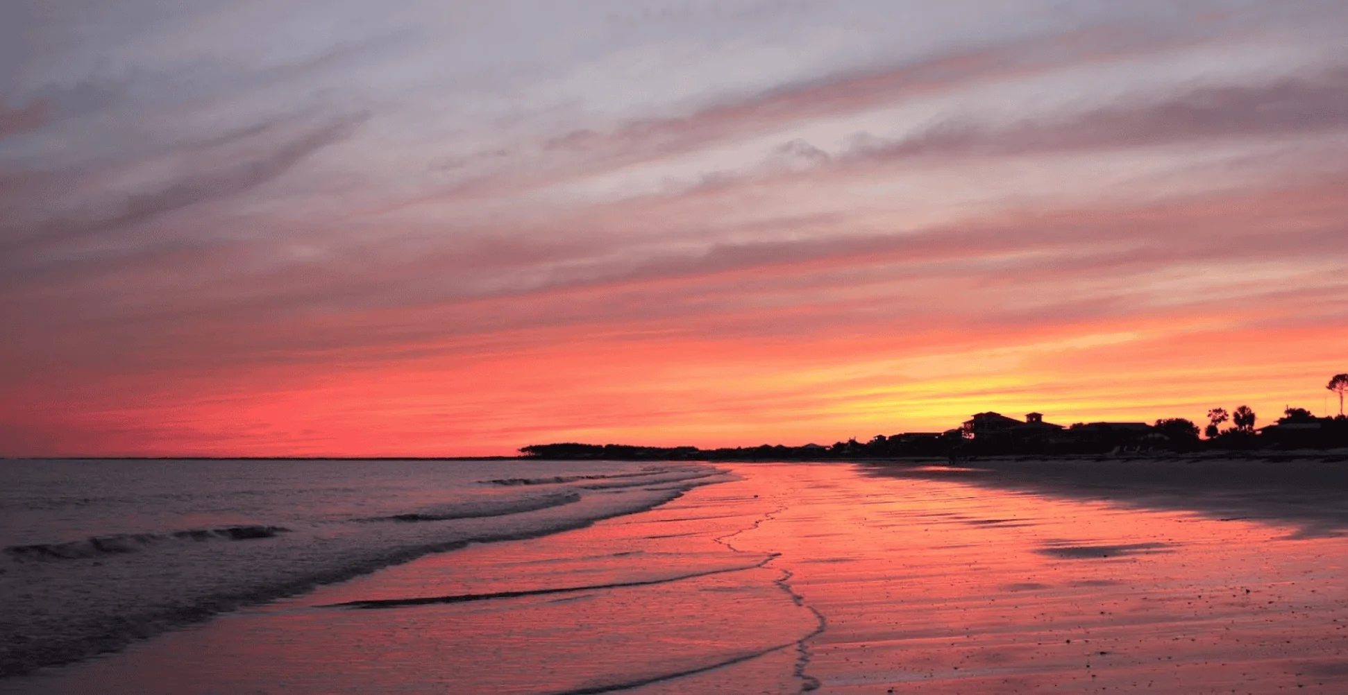 Darwan Beach Virginia Key 2 .webp