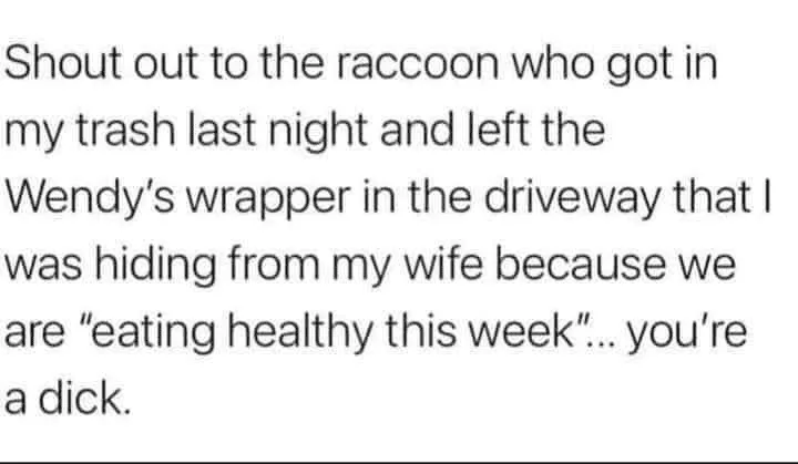 Racoon.webp