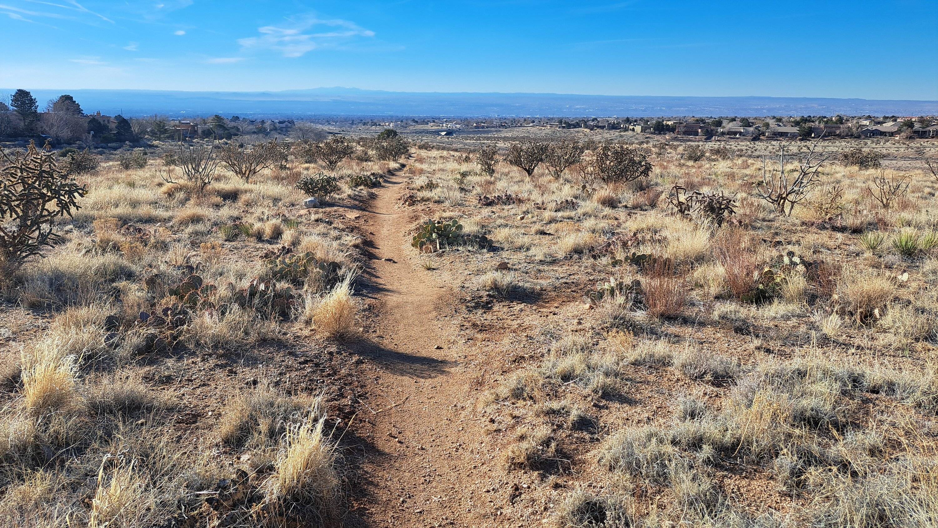 Long desert trails.jpg