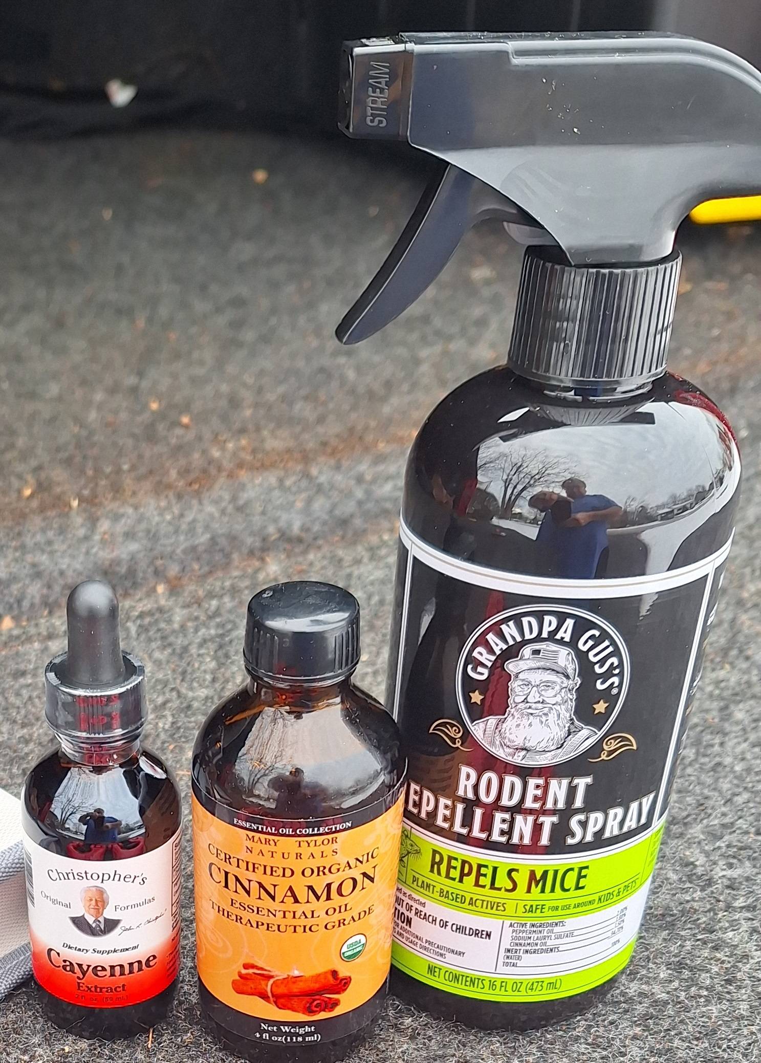 1707861692260.jpeg