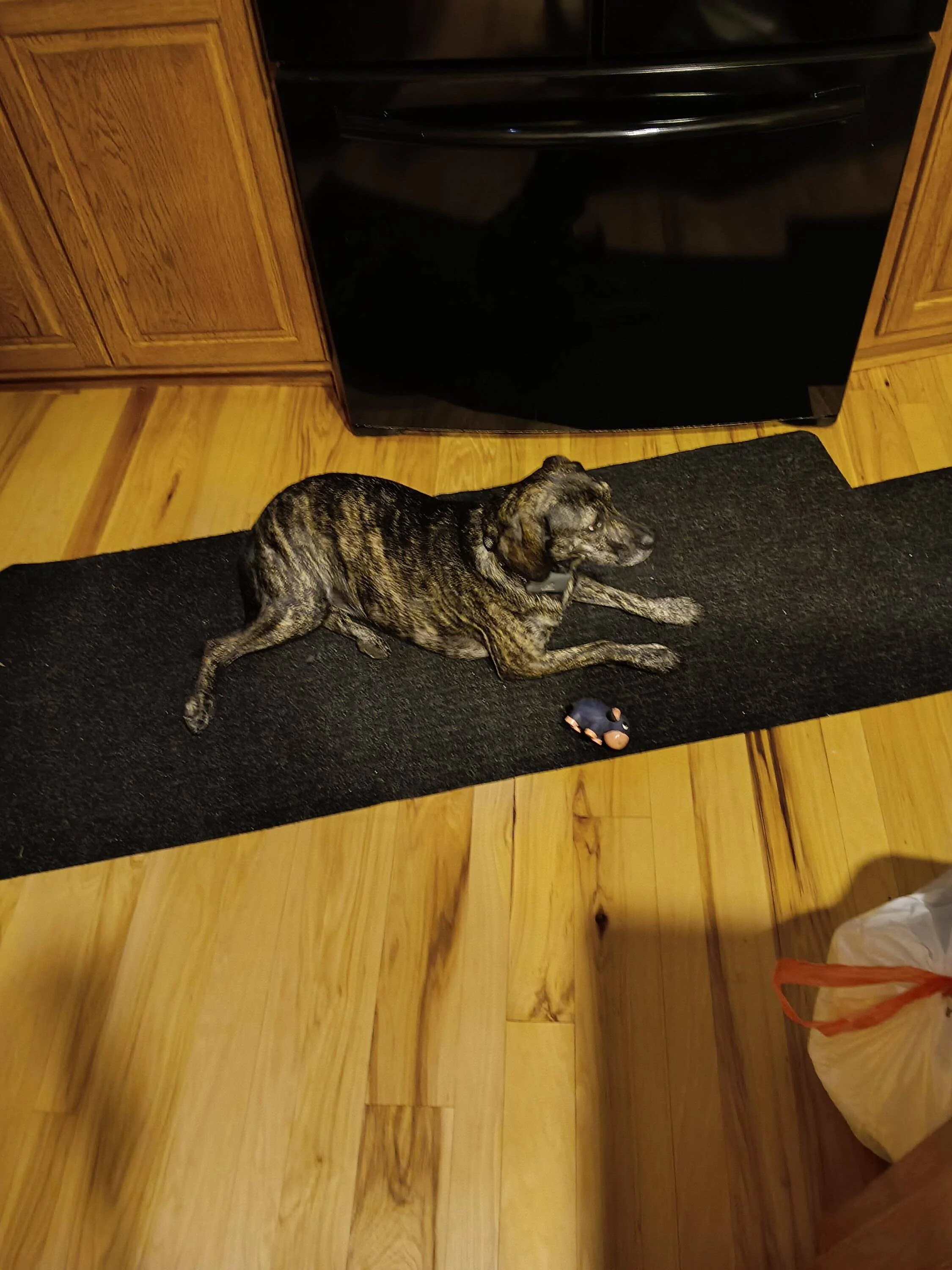 20230921_214226.webp