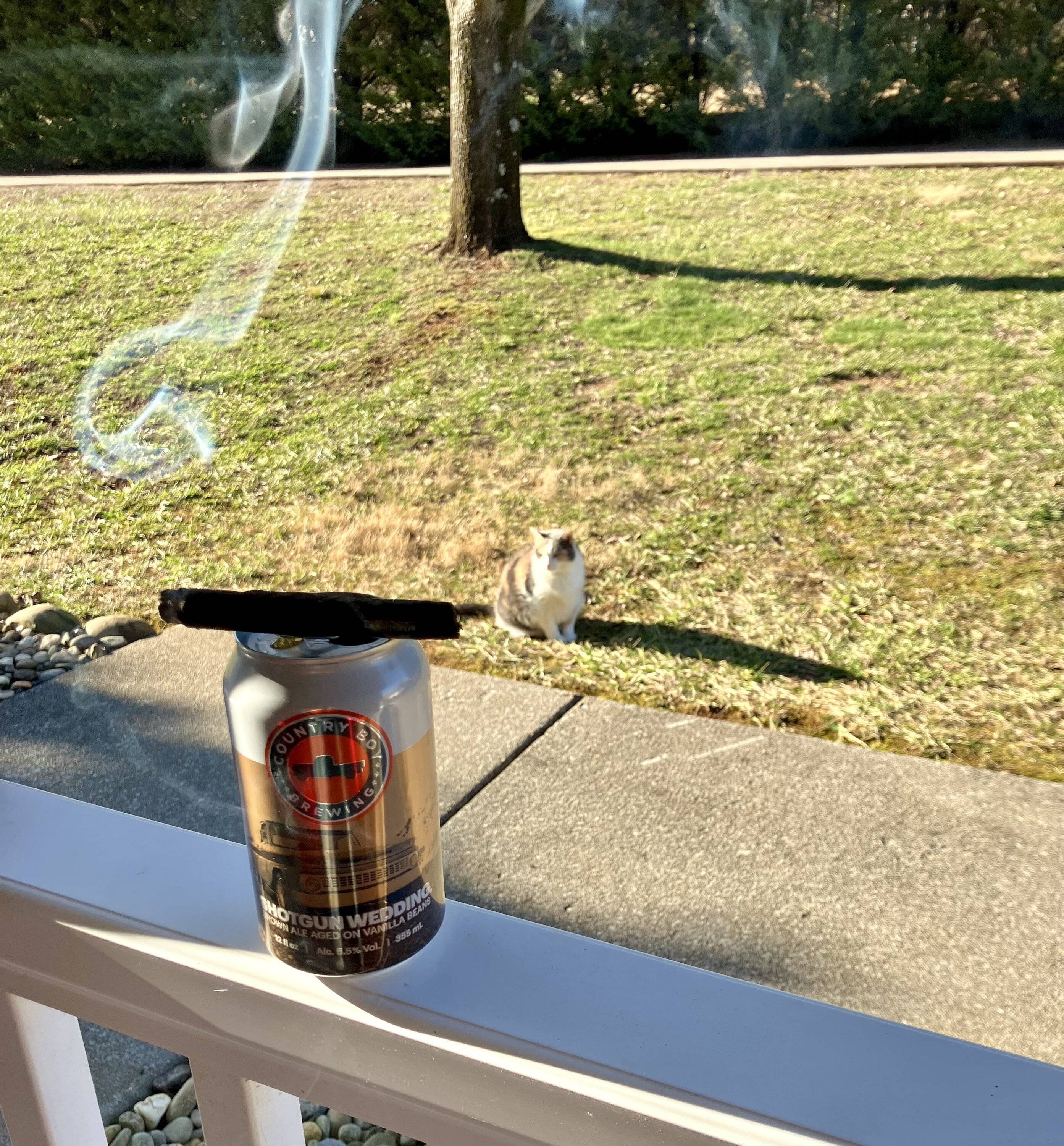 IMG_1011.jpeg