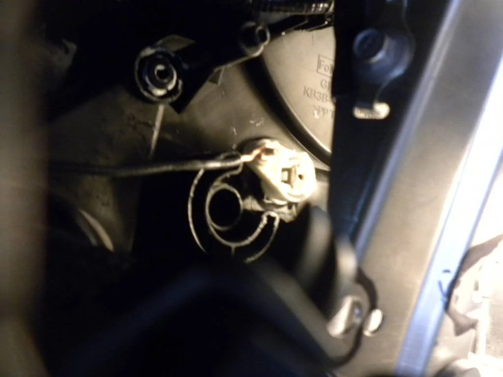 DSCN9676.webp
