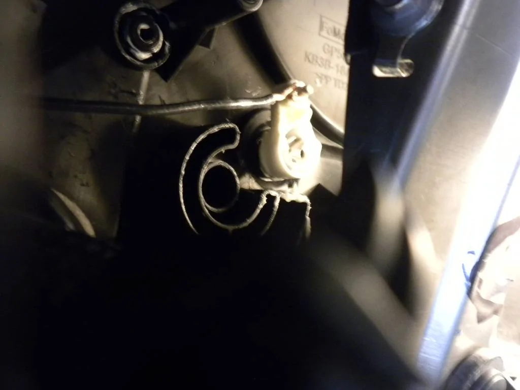 DSCN9677.webp