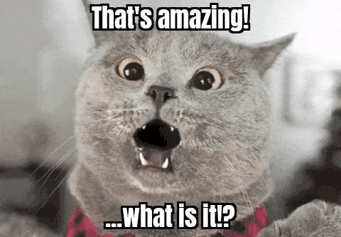 1000005105.gif