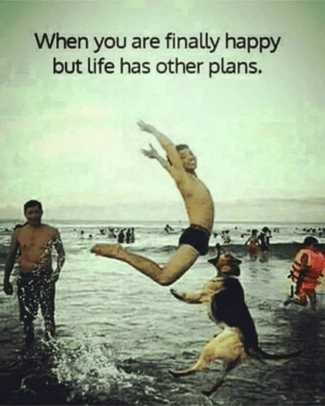 Other Plans.webp