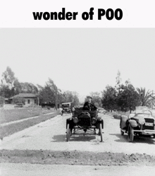 chuddyfan-wonder-of-you.gif