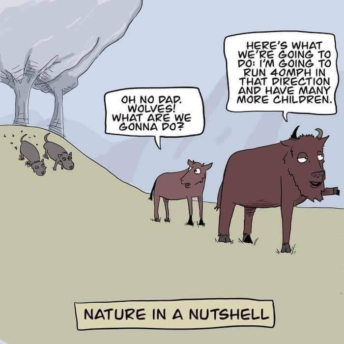 Nature.jpg