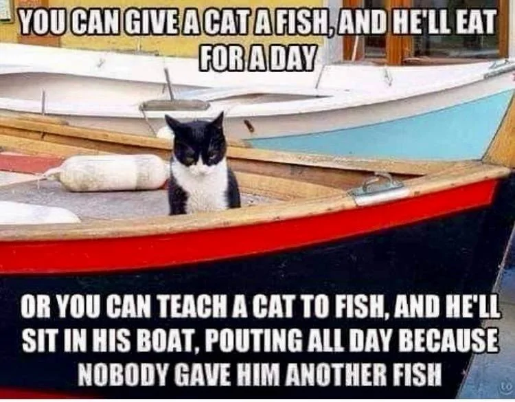 Catfish.webp