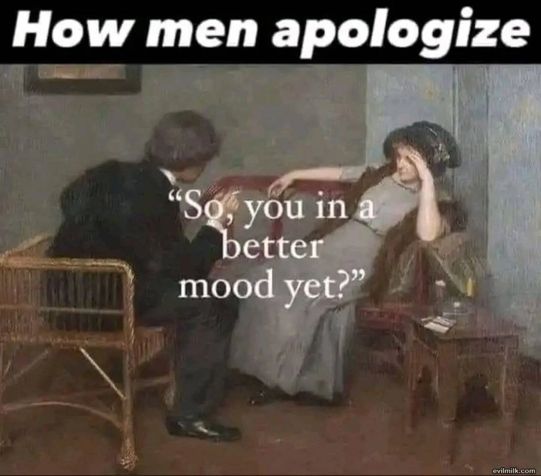 Apology.webp