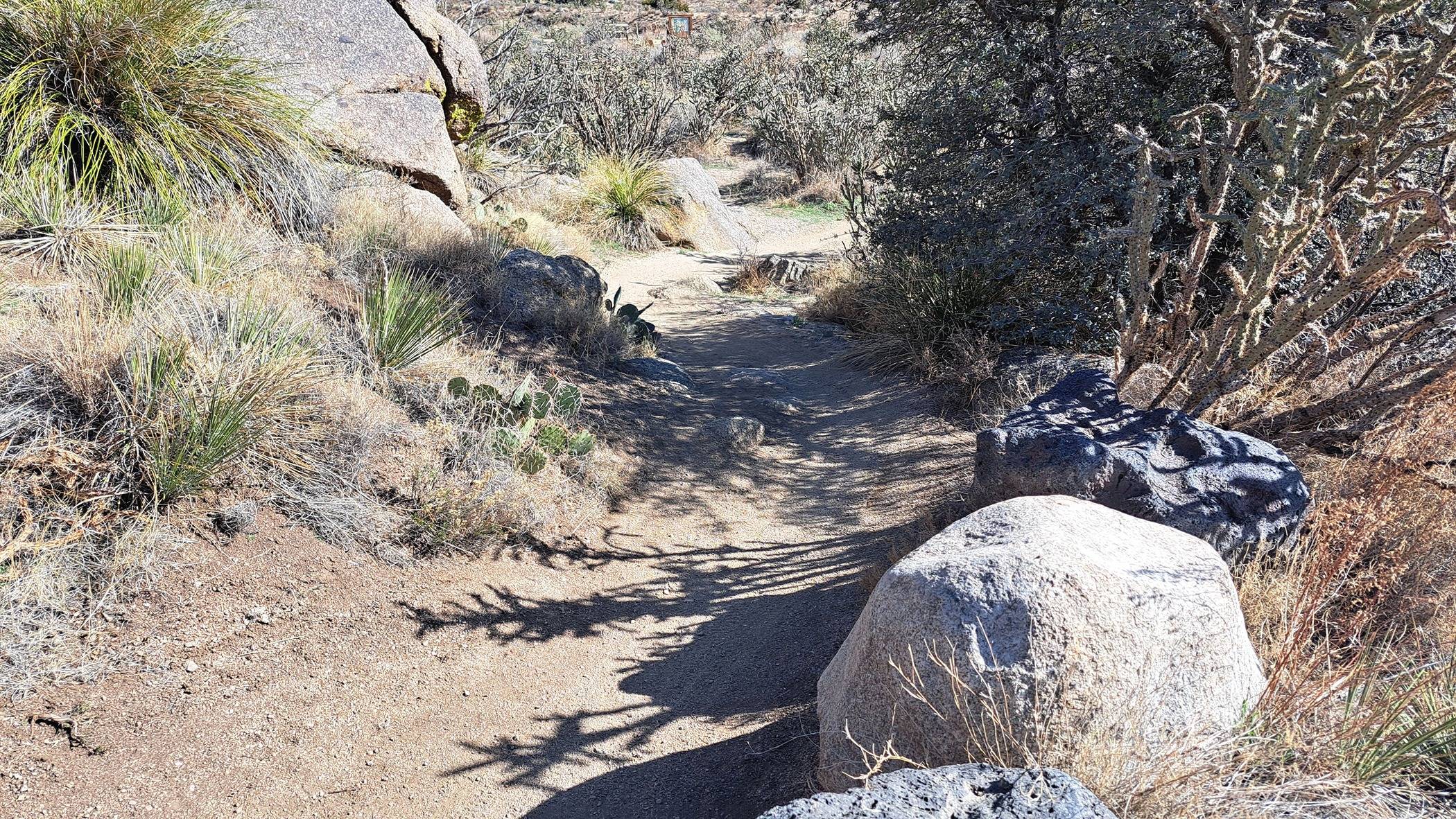 Watch our for rocks & cactus jpeg.jpg