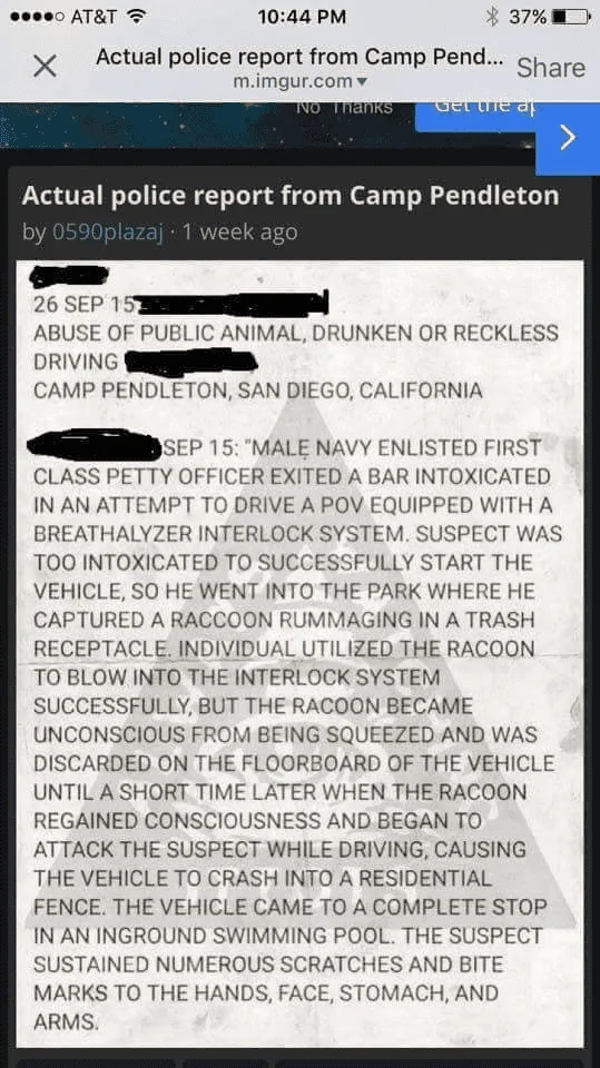Police Report.png