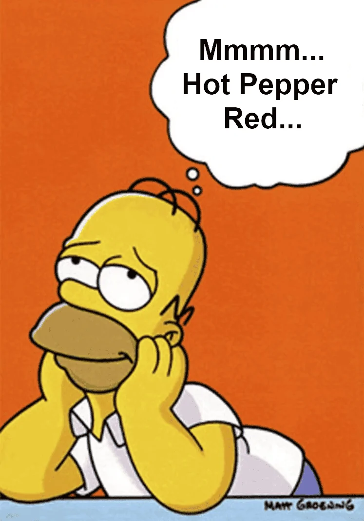 Homer HPR.webp