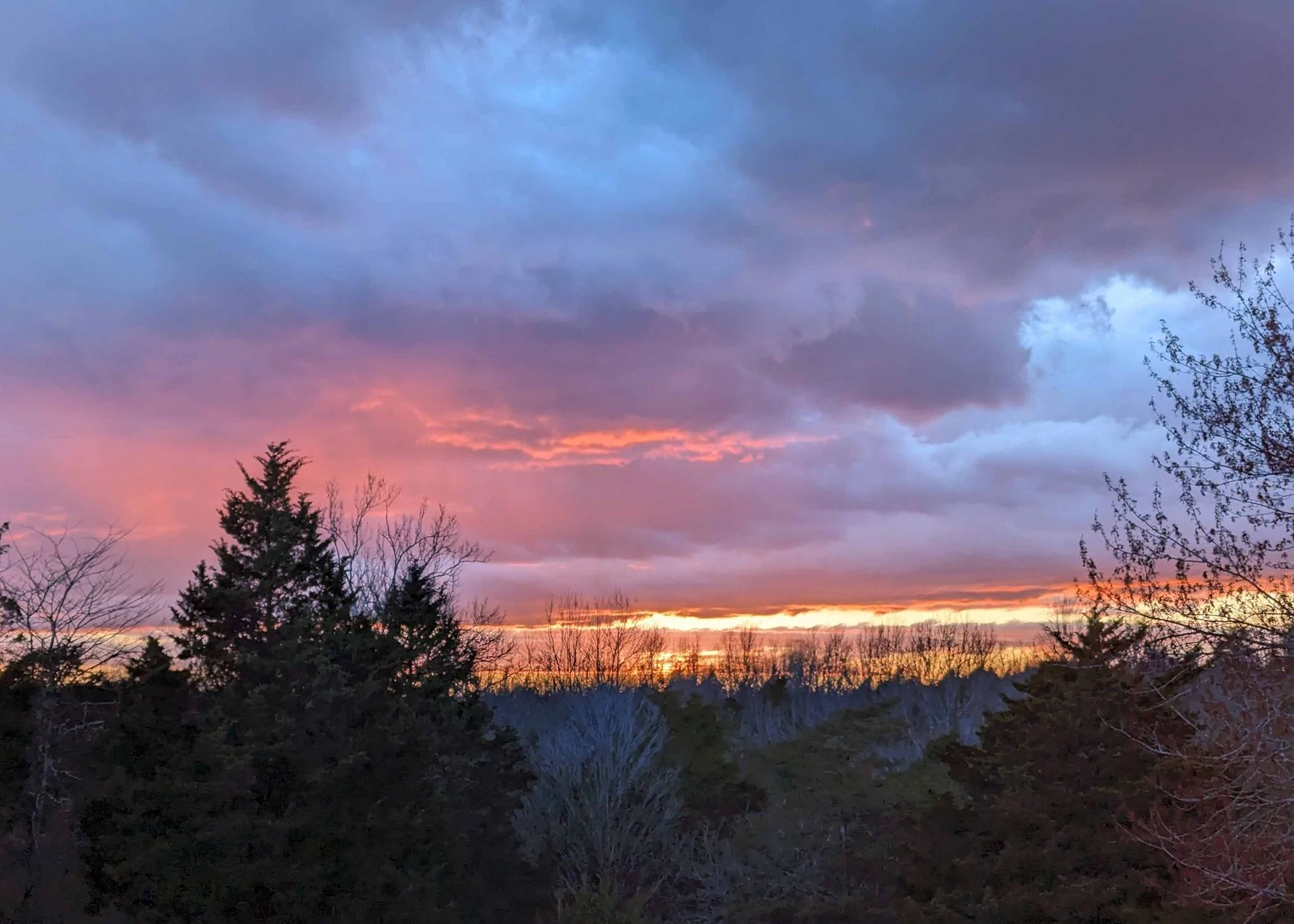 sunset spring 24.webp