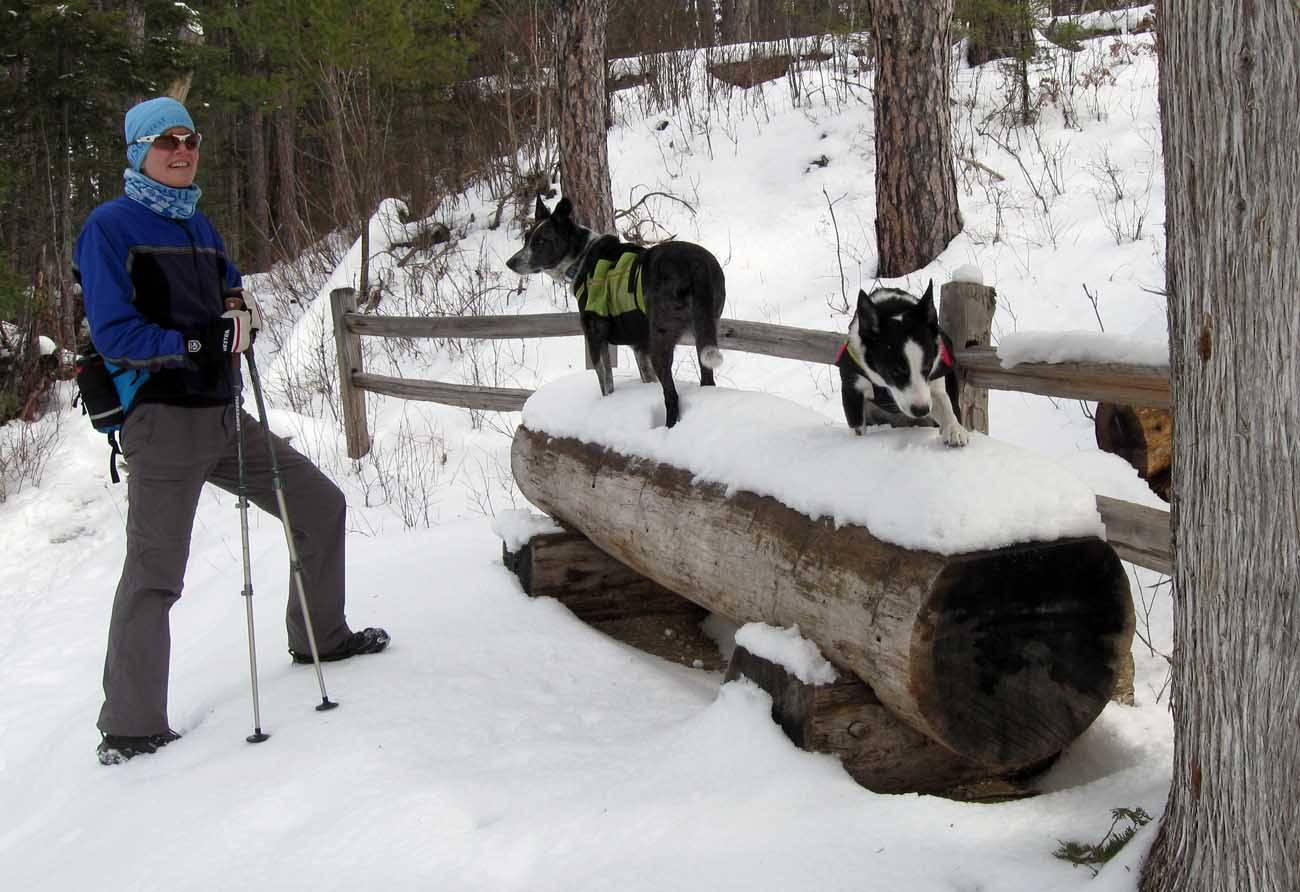 muttsely0448.jpg