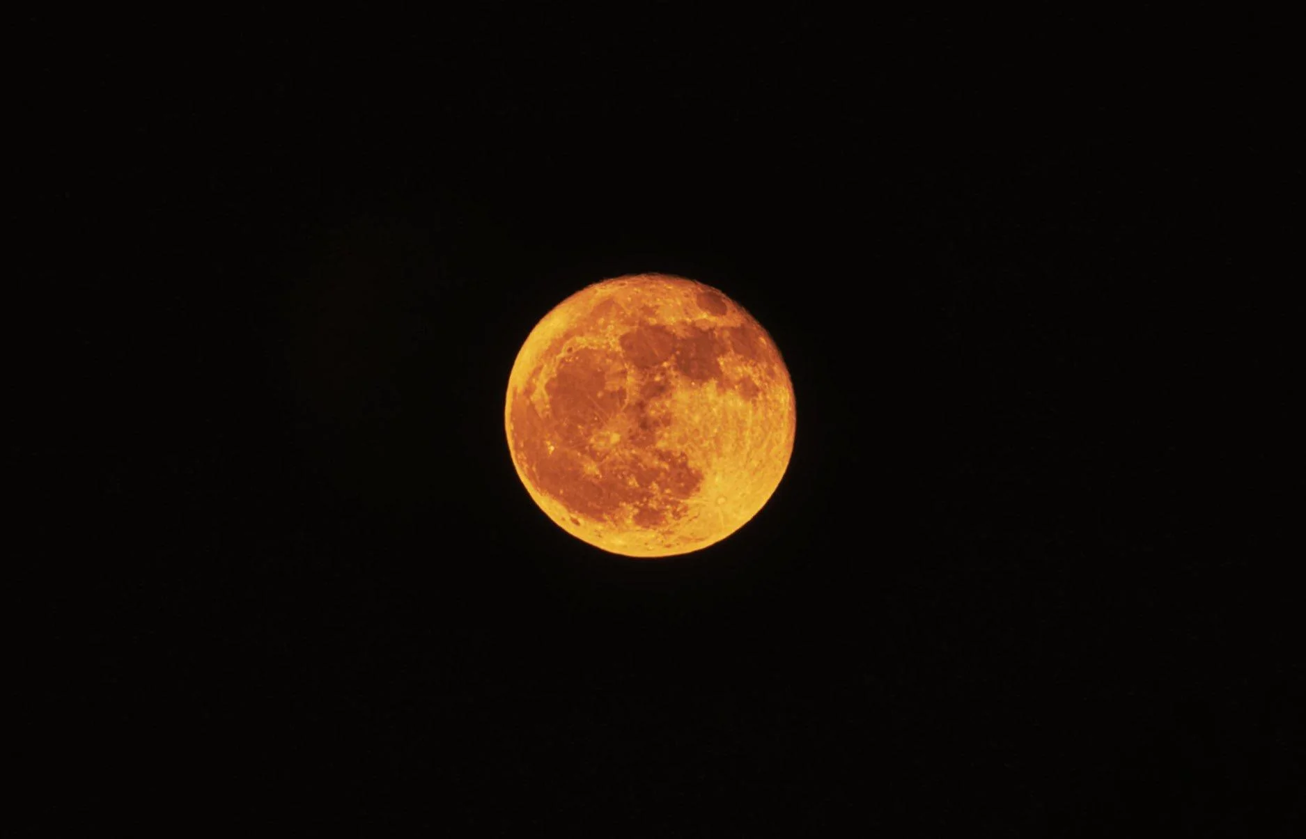 7B45FA62-719E-4810-8682-A6279C5987C1.webp