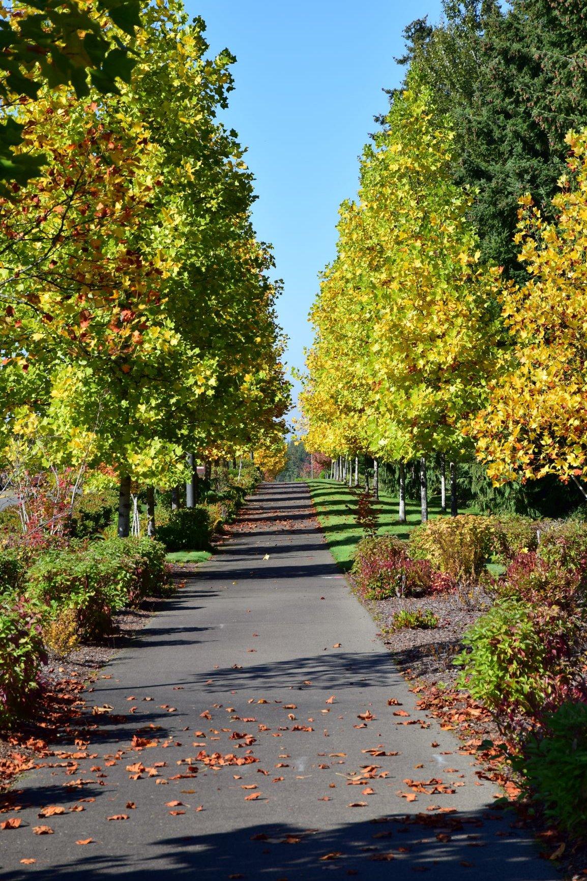 DSC_1827.JPG