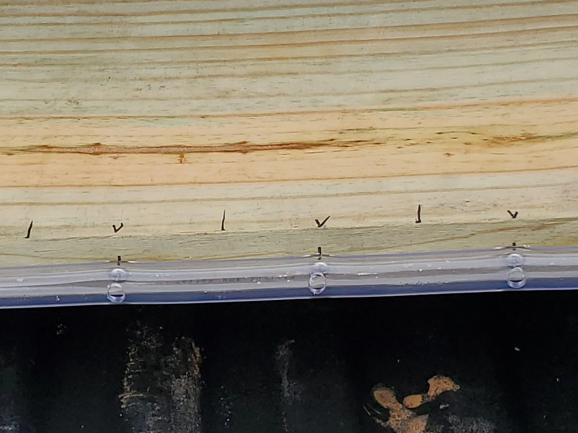 Marked and screws installed.webp