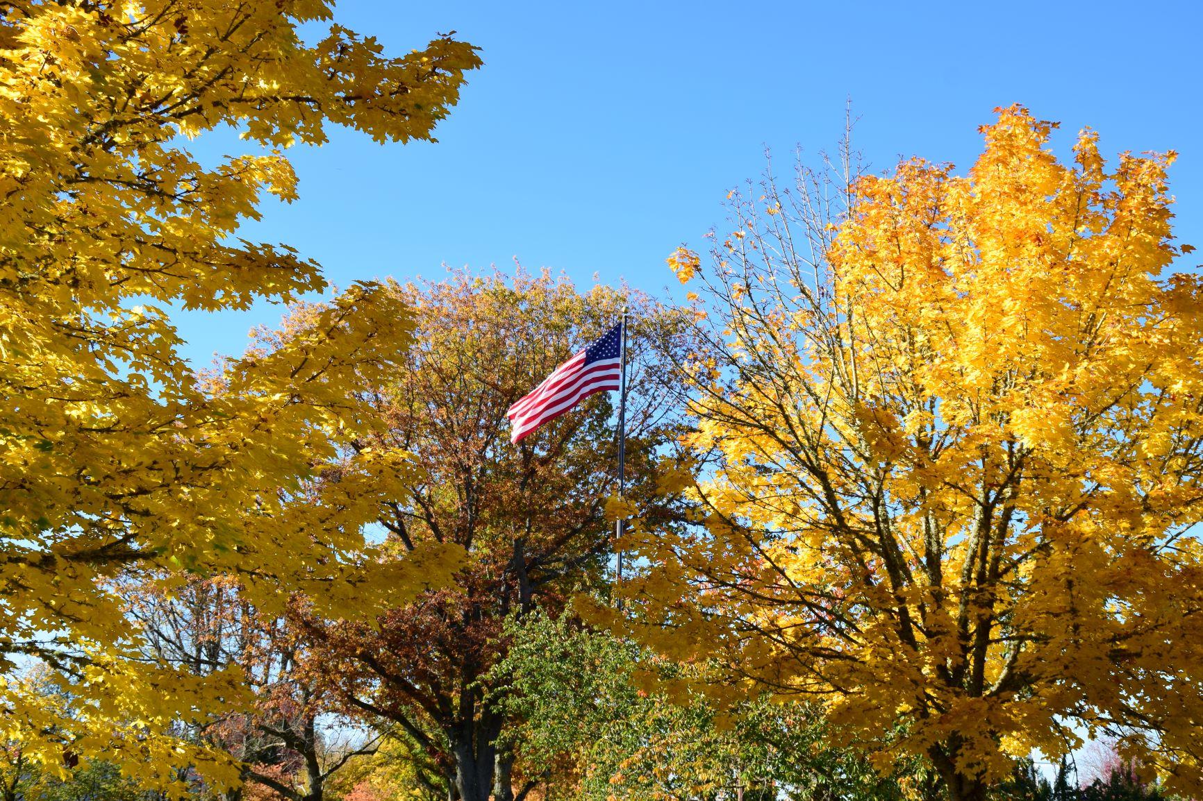 DSC_1217.JPG