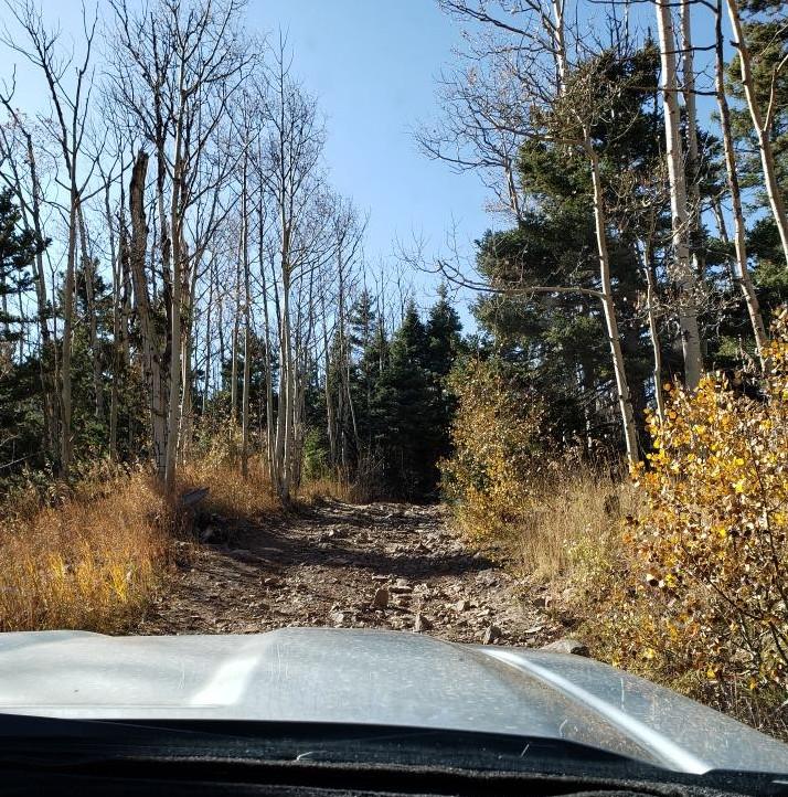 Road.jpg