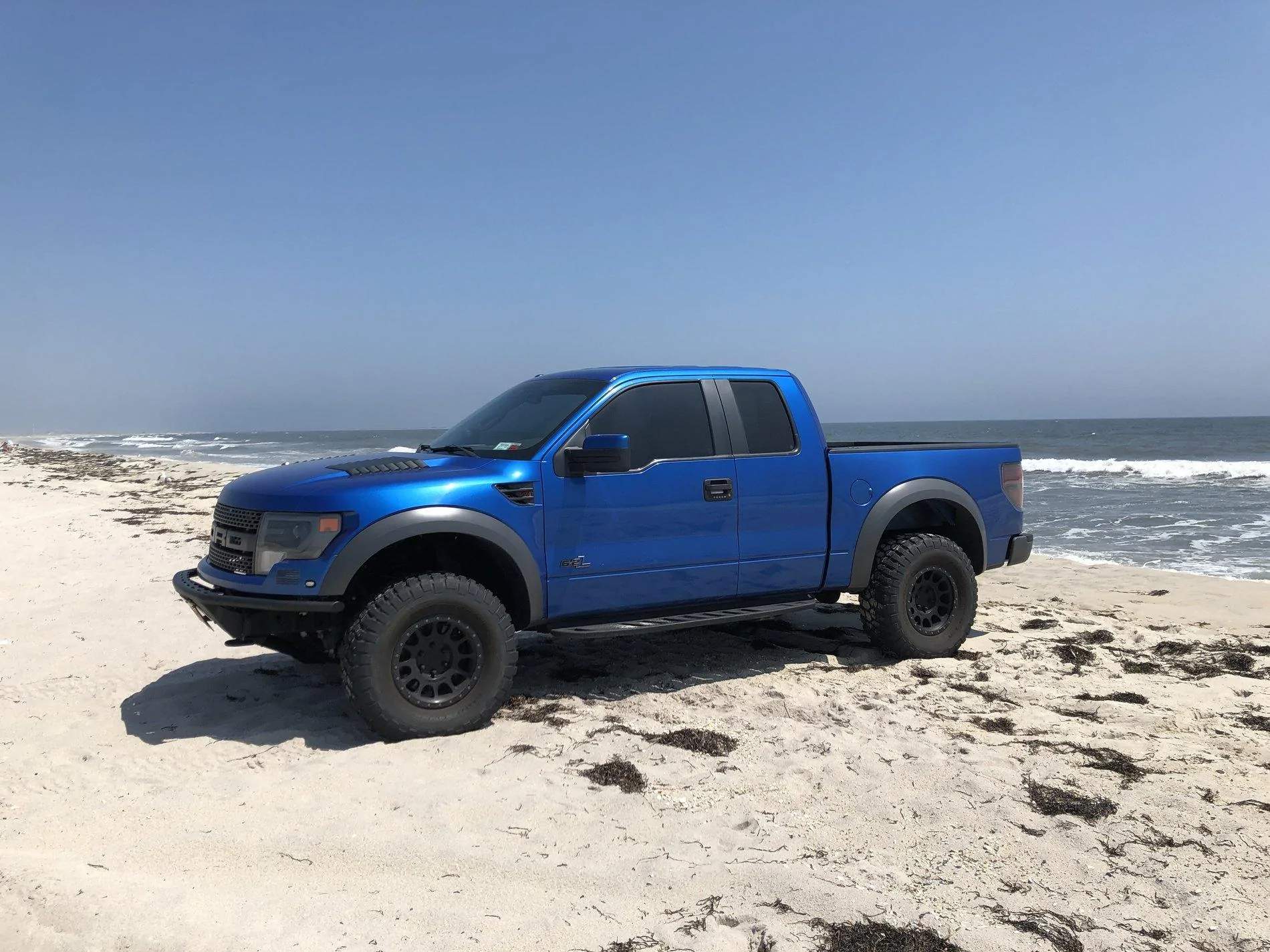 Raptor.webp