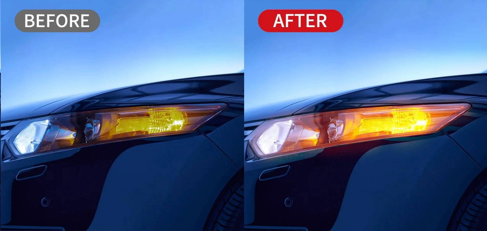 T3 LED bulbs.webp