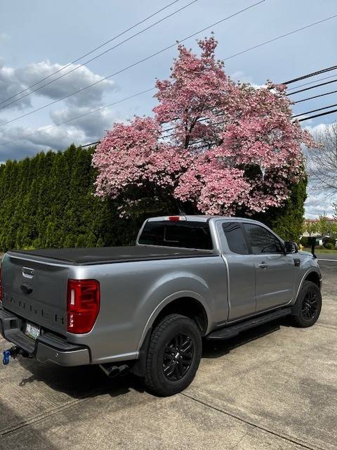 dogwood 1.jpg