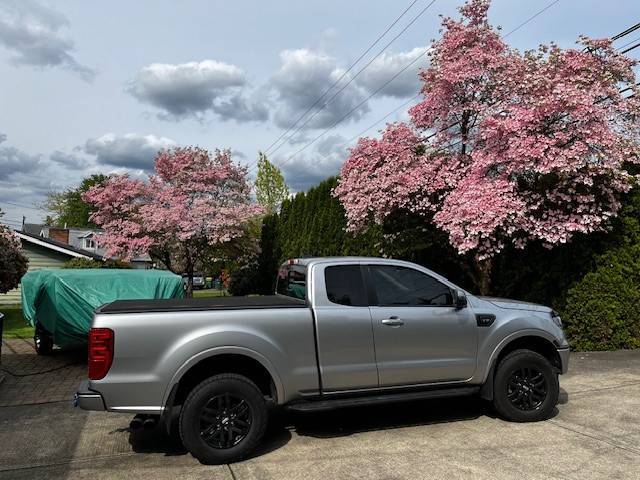 dogwood 2.jpg