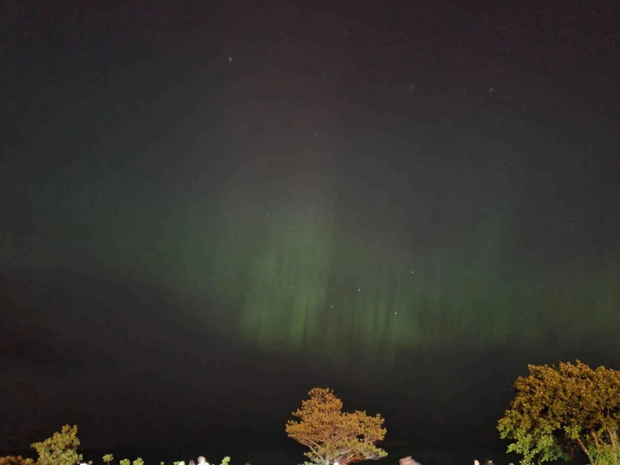 20240511_012359.webp