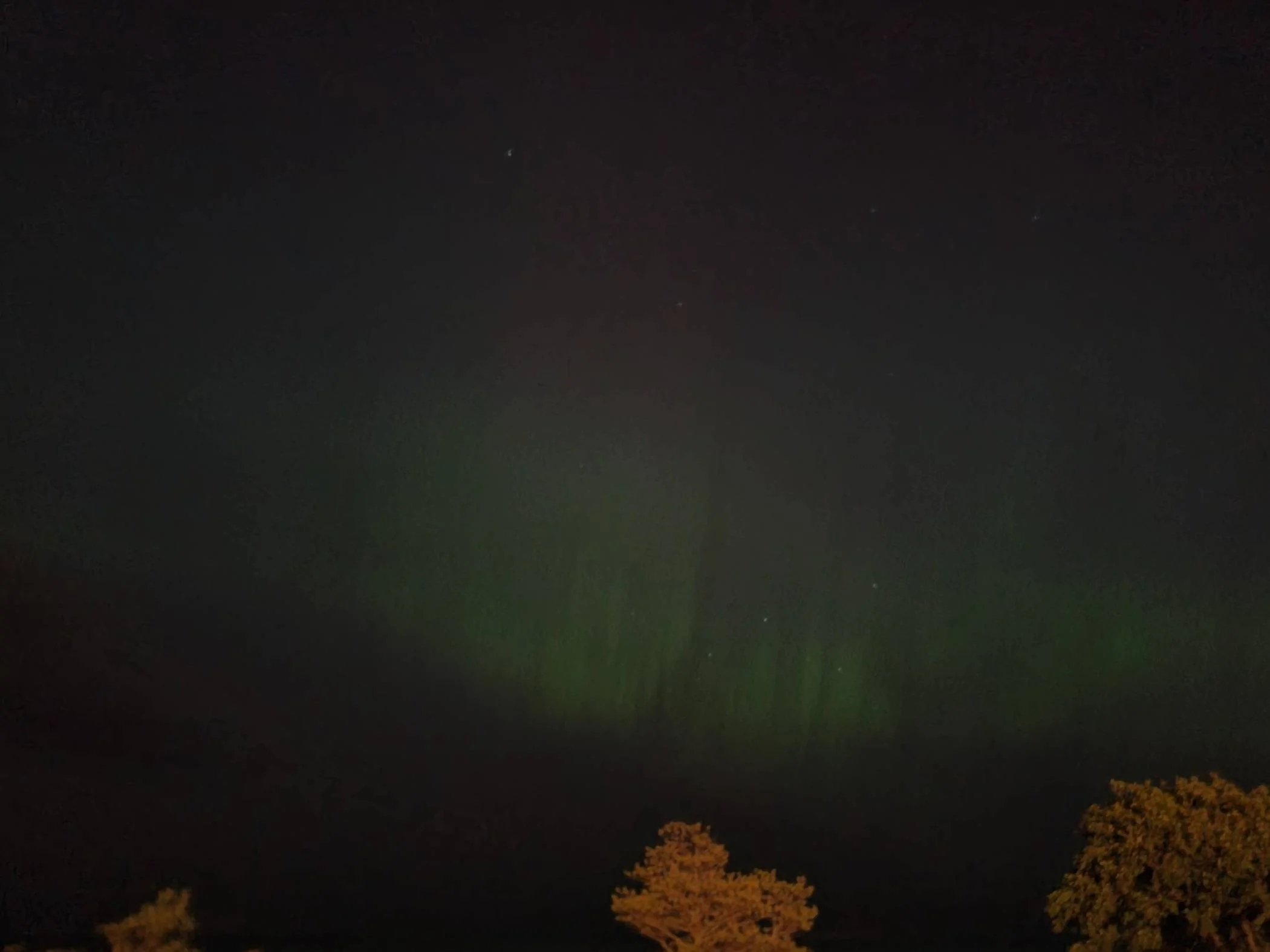20240511_012429.webp
