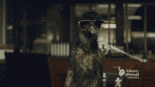limu-emu-moonchild-memes.gif