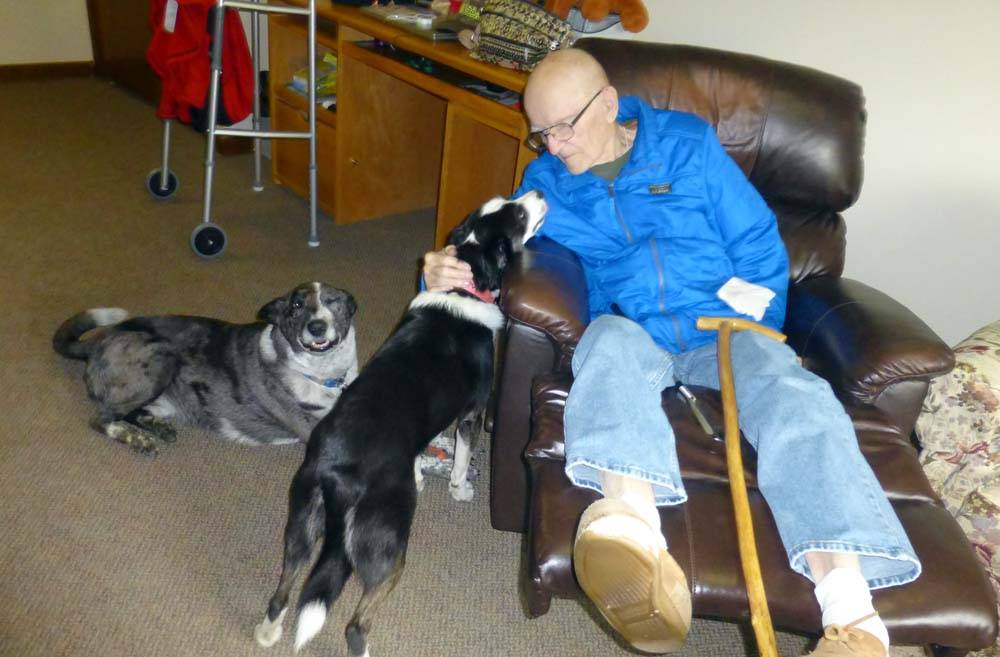dogsdad0949.jpg