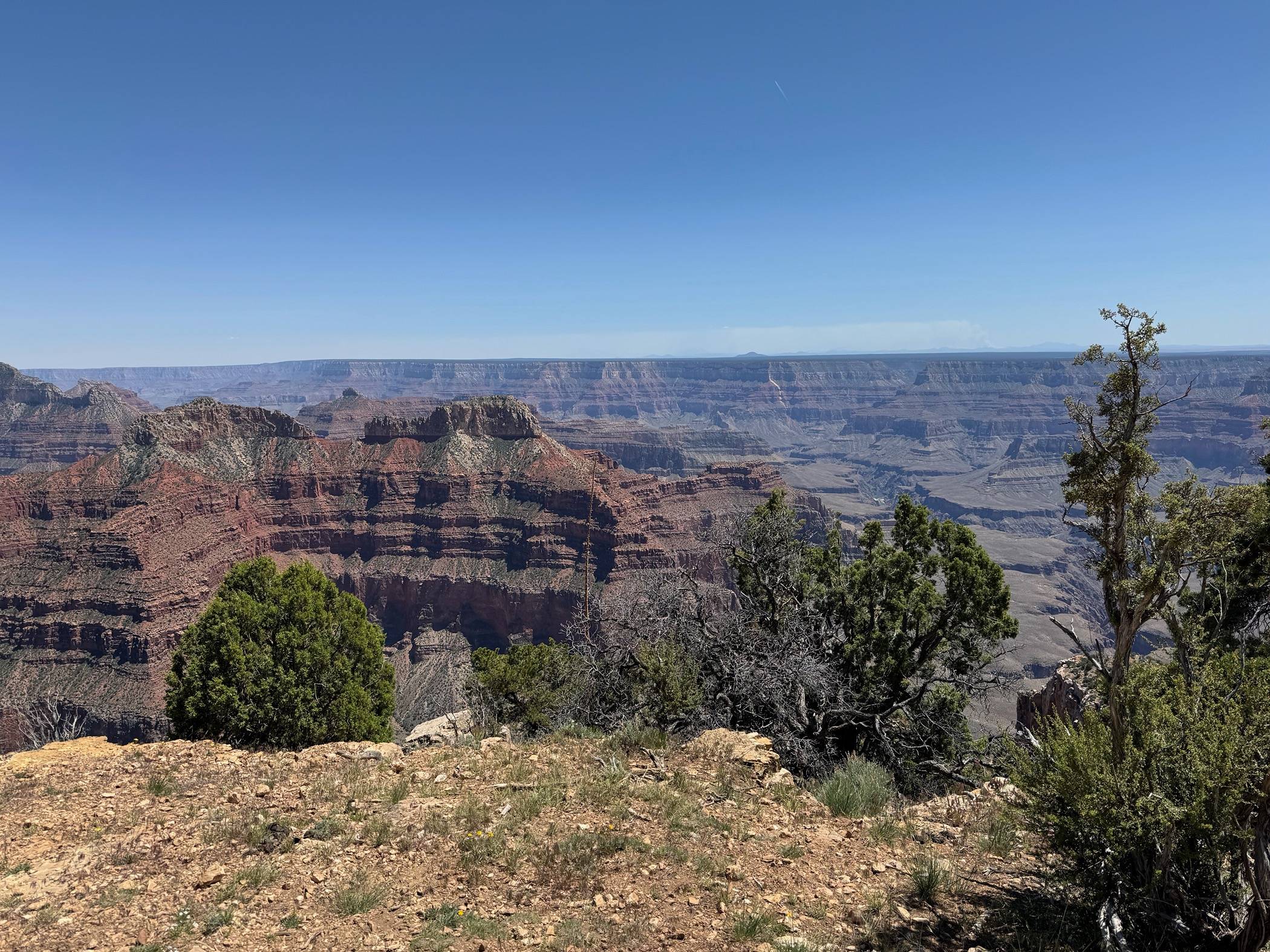 IMG_9251.jpeg