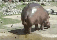 200w (9).gif