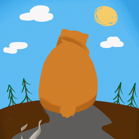 1716817057048-g6.gif