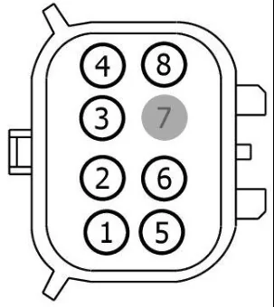 C411 .webp