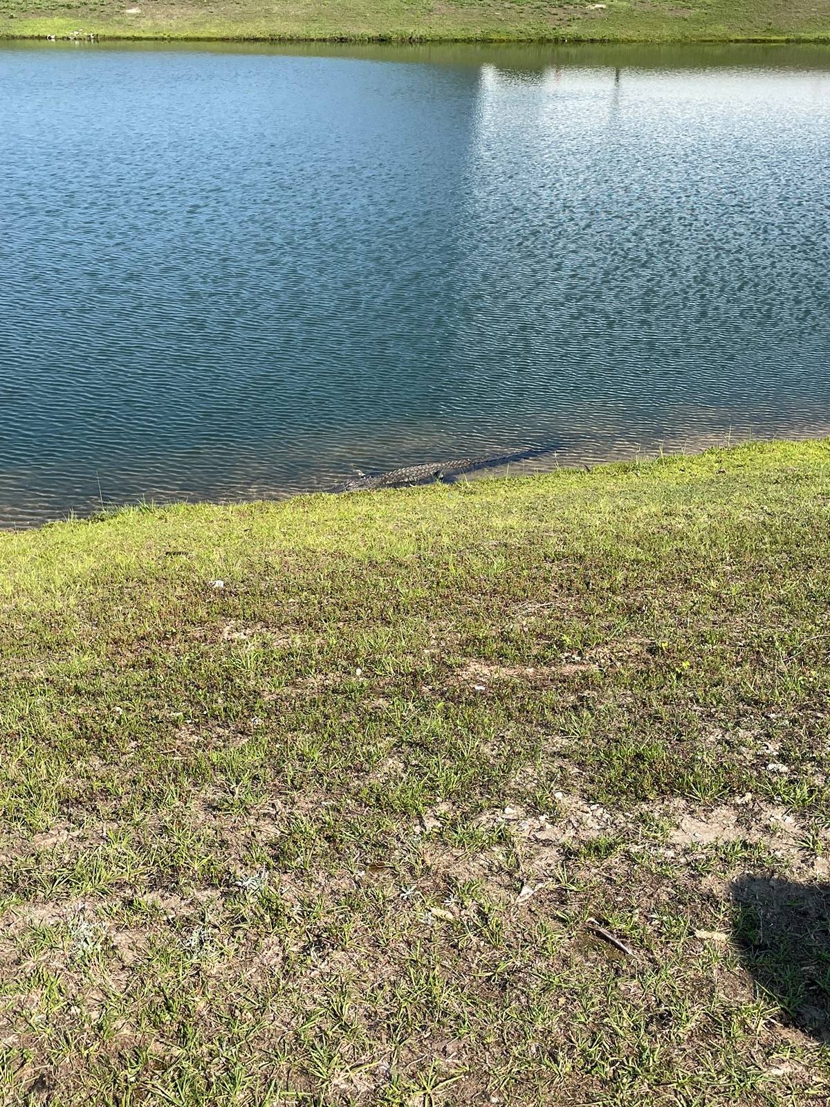 IMG_4073.jpeg