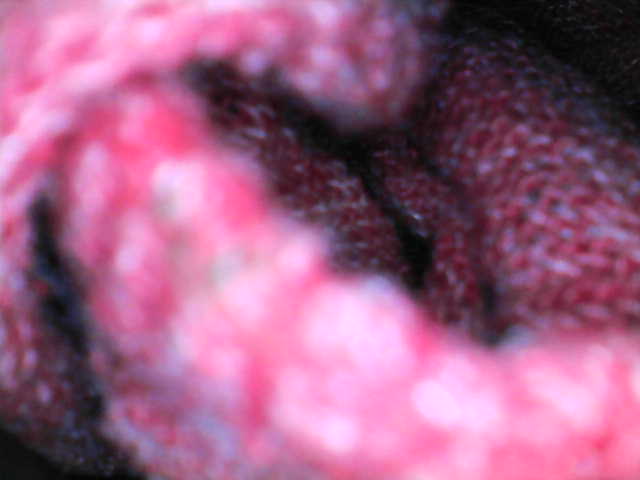 Snapshot000000.jpg