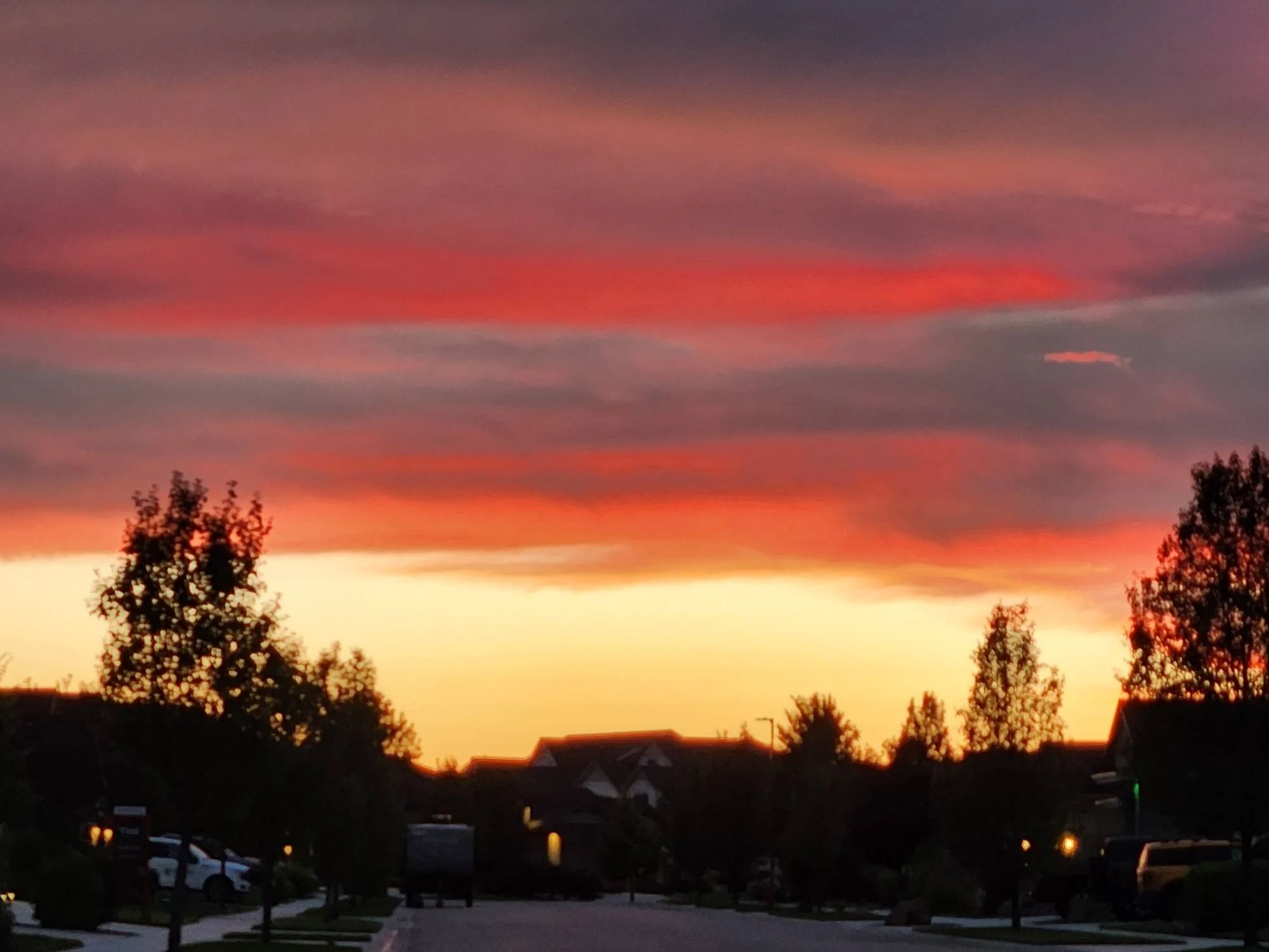sunset.webp