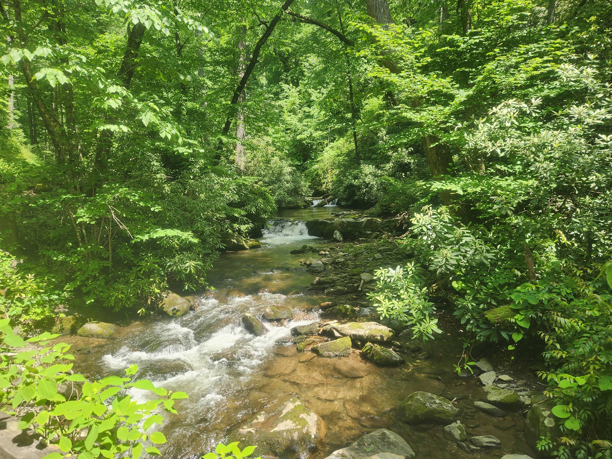 20240521_143529.jpg