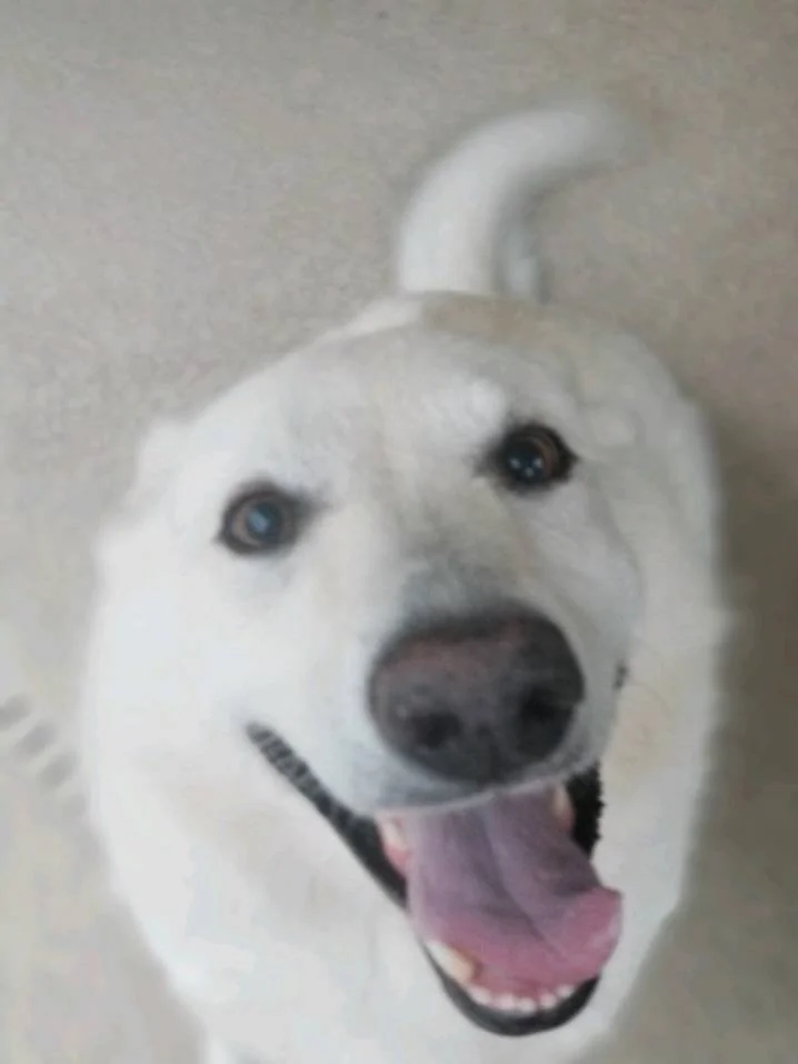 20240302_181022.webp