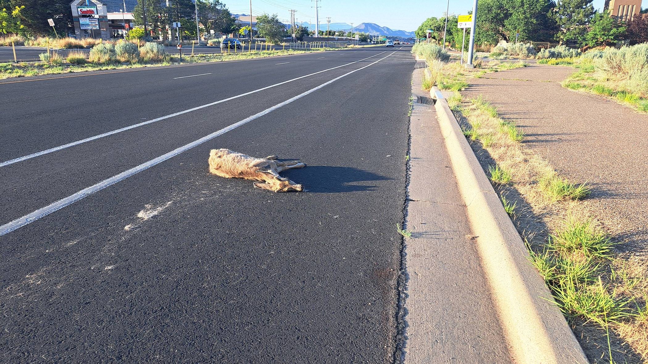 After the impact (jpg).jpg