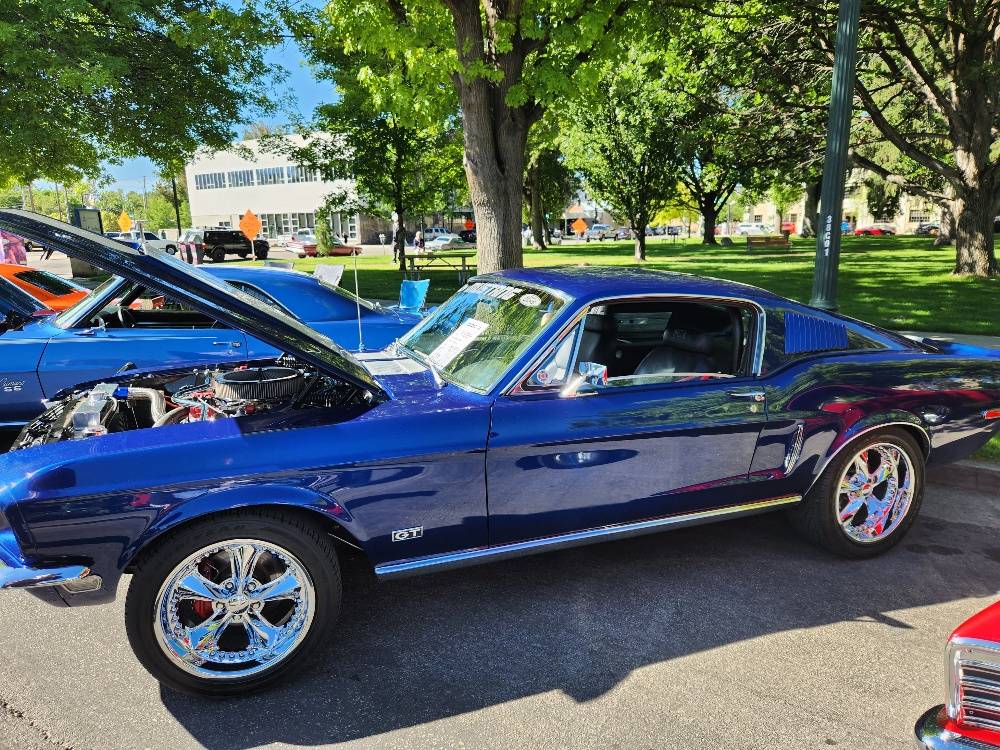 stang.jpg