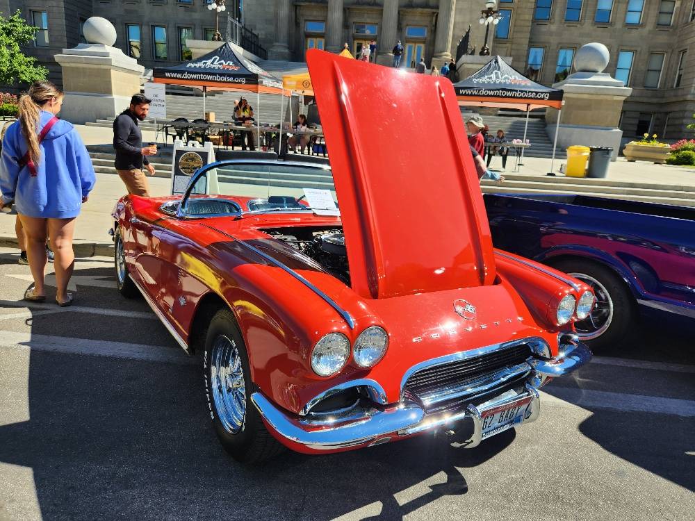 vette.jpg